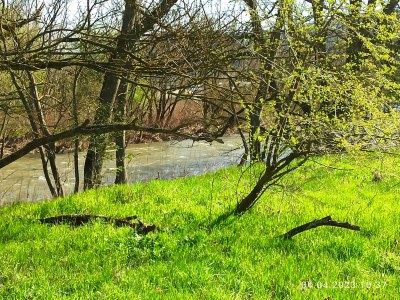 Apartment Ferienhaus Laila - Outdoor photo 23