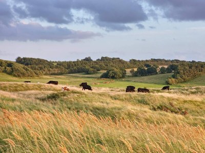 Holiday house 6 Personen Ferienhaus in Skals-By Traum - Outdoor photo 8