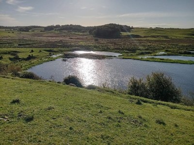 Holiday house 6 Personen Ferienhaus in Skals-By Traum - Outdoor photo 30