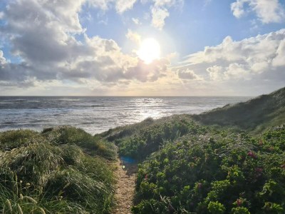 Holiday house 6 Personen Ferienhaus in Skals-By Traum - Outdoor photo 41