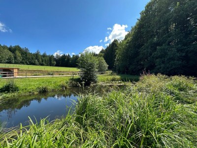 Apartment Idyllische und einladende Ferienwohnung in der Oberpfalz - Outdoor photo 4