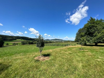 Apartment Idyllische und einladende Ferienwohnung in der Oberpfalz - Outdoor photo 6