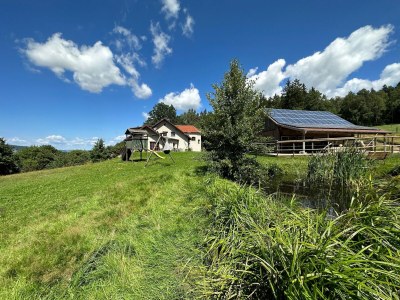 Apartment Idyllische und einladende Ferienwohnung in der Oberpfalz - Outdoor photo 14