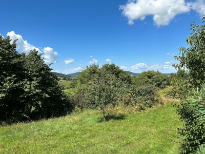 Apartment Idyllische und einladende Ferienwohnung in der Oberpfalz - Outdoor photo 15
