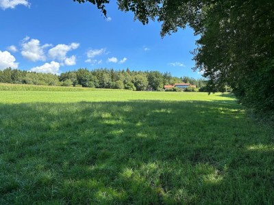 Apartment Idyllische und einladende Ferienwohnung in der Oberpfalz - Environment photo 34