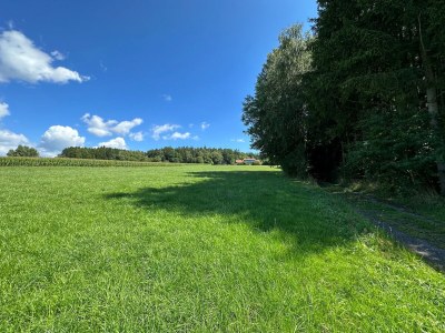 Apartment Idyllische und einladende Ferienwohnung in der Oberpfalz - Environment photo 35