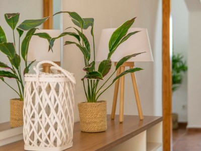 Villa VILLA MARIA (PORT DES CANONGE) - Features photo 15