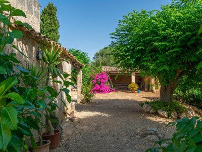 Villa SON NEGRE - Outdoor photo 14