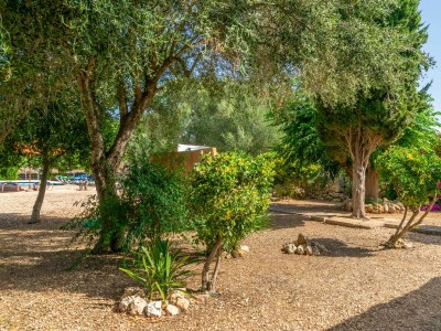 Villa SON NEGRE - Outdoor photo 16