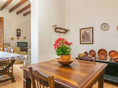 Villa SON NEGRE - Features photo 24