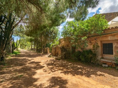 Farmhouse SON MAYOL 1 - Outdoor photo 17