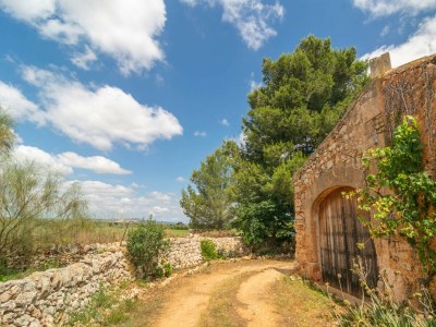 Farmhouse SON MAYOL 1 - Outdoor photo 18
