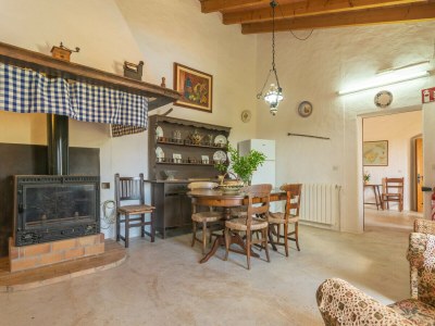 Farmhouse SON MAYOL 1 - Features photo 28