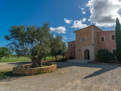 Villa SON GENER (MANACOR) - Outdoor photo 11
