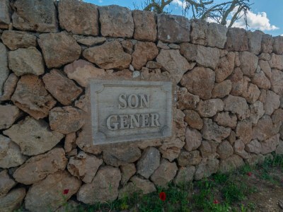 Villa SON GENER (MANACOR) - Environment photo 33