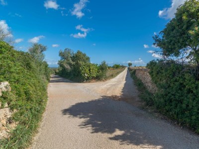 Villa SON GENER (MANACOR) - Environment photo 35