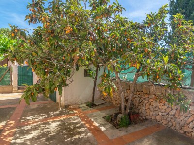 Villa SON BLAU - Outdoor photo 16