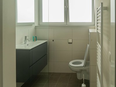 Holiday house Lakeview villa with swimming and fishing pier - Features photo 23