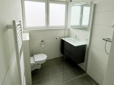 Holiday house Lakeview villa with swimming and fishing pier - Features photo 24