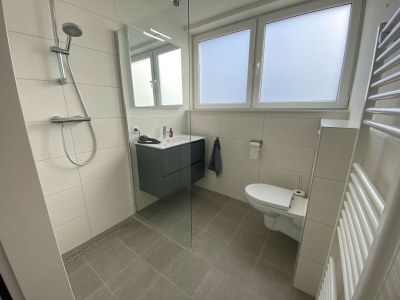 Holiday house Lakeview villa with swimming and fishing pier - Features photo 27