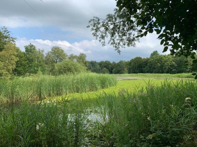 Holiday house Lakeview villa with swimming and fishing pier - Environment photo 31