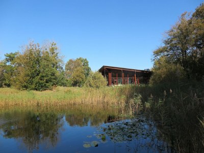 Holiday house Lakeview villa with swimming and fishing pier - Environment photo 32