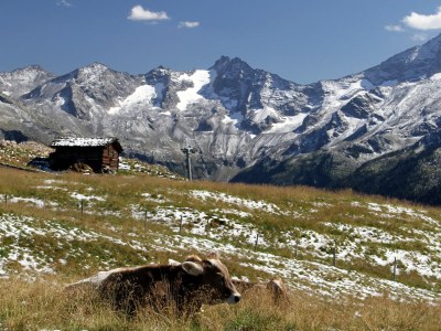 Holiday apartment Haus Alpin 3 - Environment photo 19