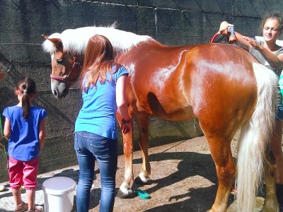 Holiday apartment Sonate in organic & equestrian farm the Veitenhof - Environment photo 31