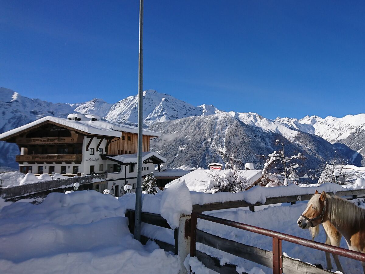 Holiday apartment Apartment Savannah in the organic & equistrian farm the Veitenhof - Outdoor photo 2