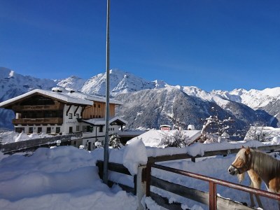 Holiday apartment Apartment Savannah in the organic & equistrian farm the Veitenhof - Outdoor photo 2