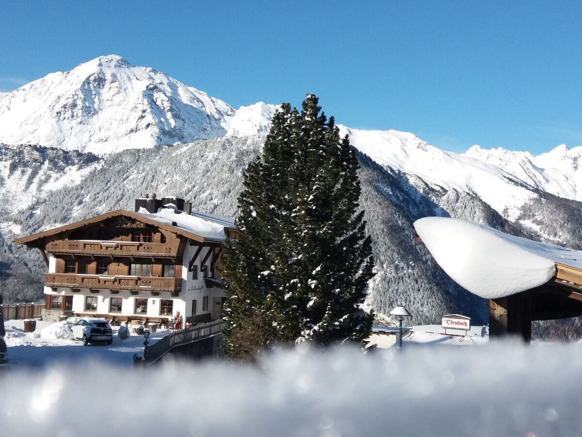 Holiday apartment Apartment Solvina in the organic & equistrian farm the Veitenhof - Outdoor photo 2