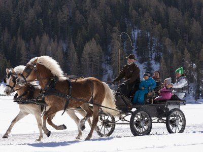 Holiday apartment Apartment Solvina in the organic & equistrian farm the Veitenhof - Environment photo 25