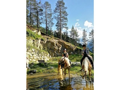 Holiday apartment Tessadina in the organic & equistrian farm the Veitenhof - Environment photo 40