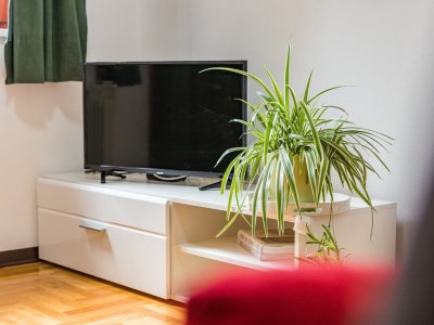 Holiday apartment Holiday apartment INES with private garden and barbecue near Pula - Features photo 22