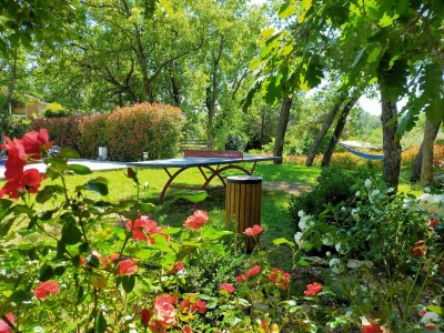 Villa Villa in Var with Hill Views & Pool - Outdoor photo 9