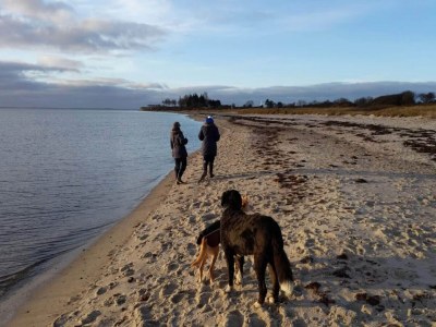 Holiday house 3 Personen Ferienhaus in Sydals-By Traum - Outdoor photo 12