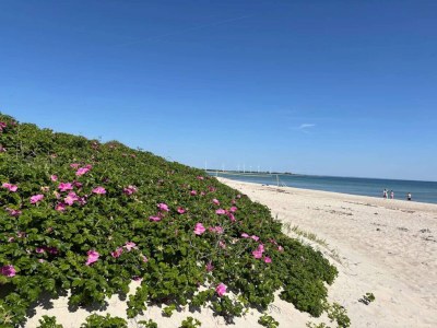 Holiday house 3 Personen Ferienhaus in Sydals-By Traum - Outdoor photo 33