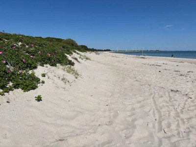 Holiday house 3 person holiday home in Sydals-By Traum - Outdoor photo 41