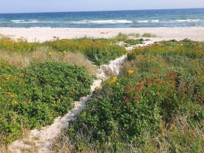 Holiday house 3 person holiday home in Sydals-By Traum - Outdoor photo 47