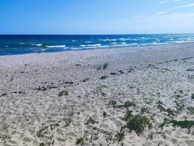 Holiday house 6 Personen Ferienhaus in Sydals-By Traum - Outdoor photo 27