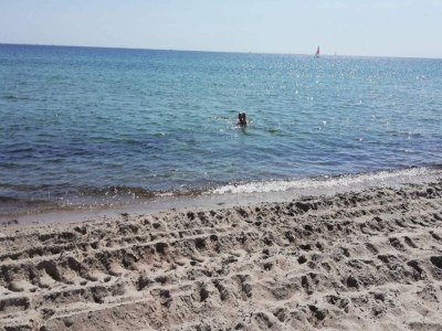 Holiday house 4 Sterne Ferienhaus in Sydals-By Traum - Outdoor photo 11