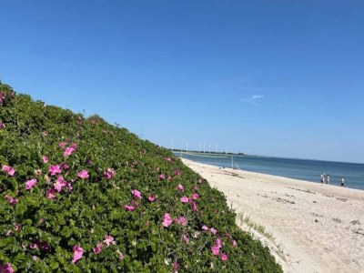 Holiday house 4 Sterne Ferienhaus in Sydals-By Traum - Outdoor photo 24