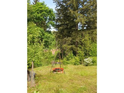 Holiday house Hainblume - Outdoor photo 3