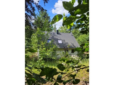 Holiday house Hainblume - Outdoor photo 6