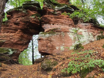 Holiday house Hainblume - Environment photo 13