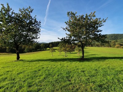 Holiday house Hainblume - Environment photo 14