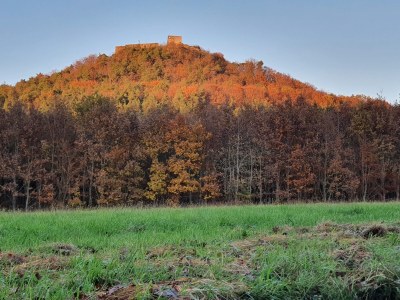 Holiday house Hainblume - Environment photo 15