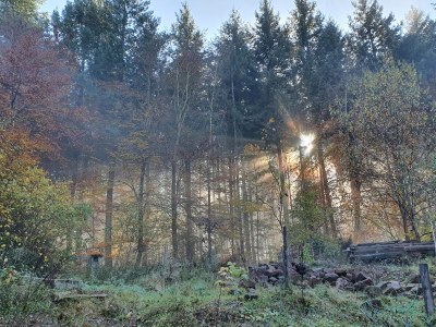 Holiday house Hainblume - Environment photo 16