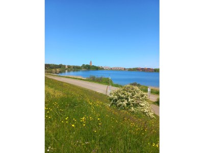 Holiday apartment Achterweg - Environment photo 15