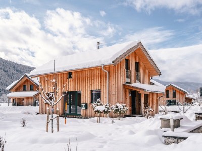 Chalet Chalet Prinz - Outdoor photo 8